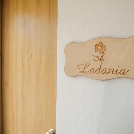 Sisaion Suites - Live The Cretan Hospitality Metokhion Apisiana Bagian luar foto